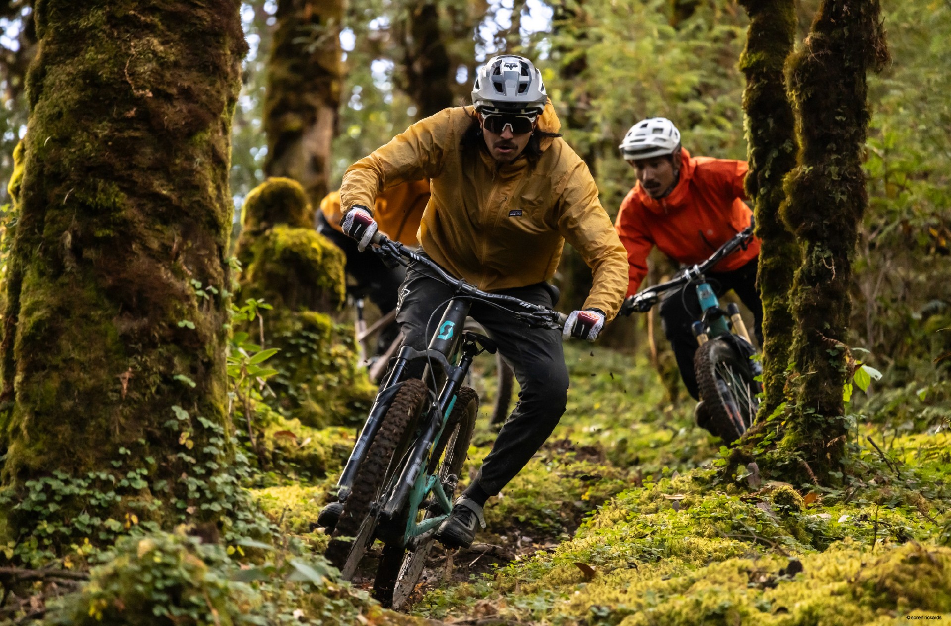 Bikeverbier.ch