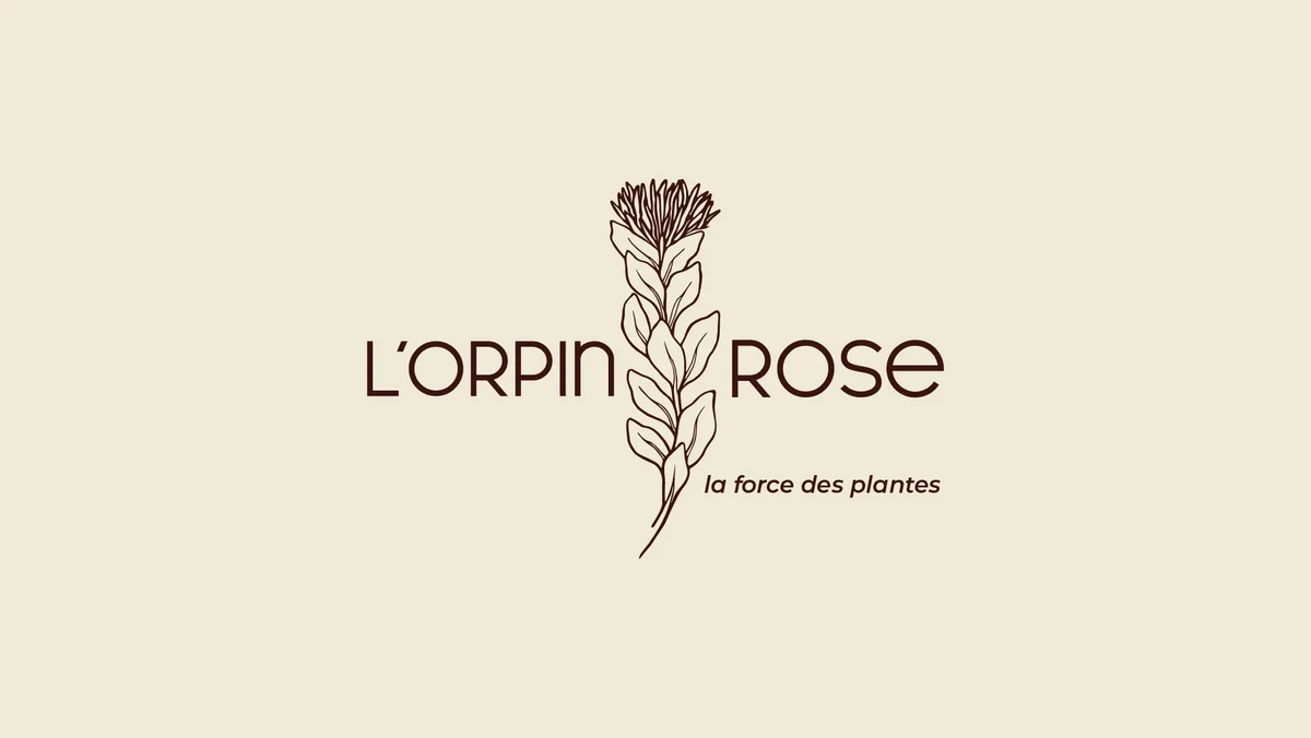 L’Orpin Rose